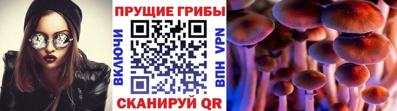 Псилоцибиновые грибы мицелий  где можно купить наркотик  Любань 